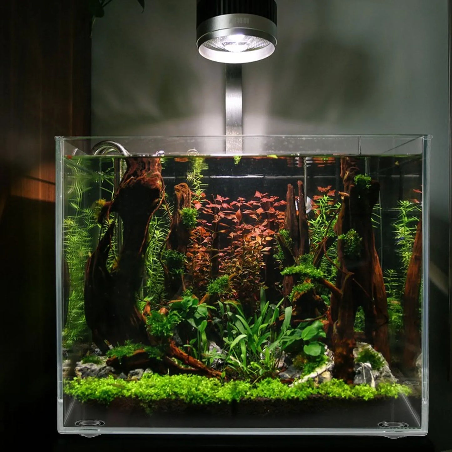 M Size Mini Aquarium Transparent Fish Tank Desktop Square Betta Bowl Fish Bowl Small Fish Tank Plastic Aquarium Pet Products