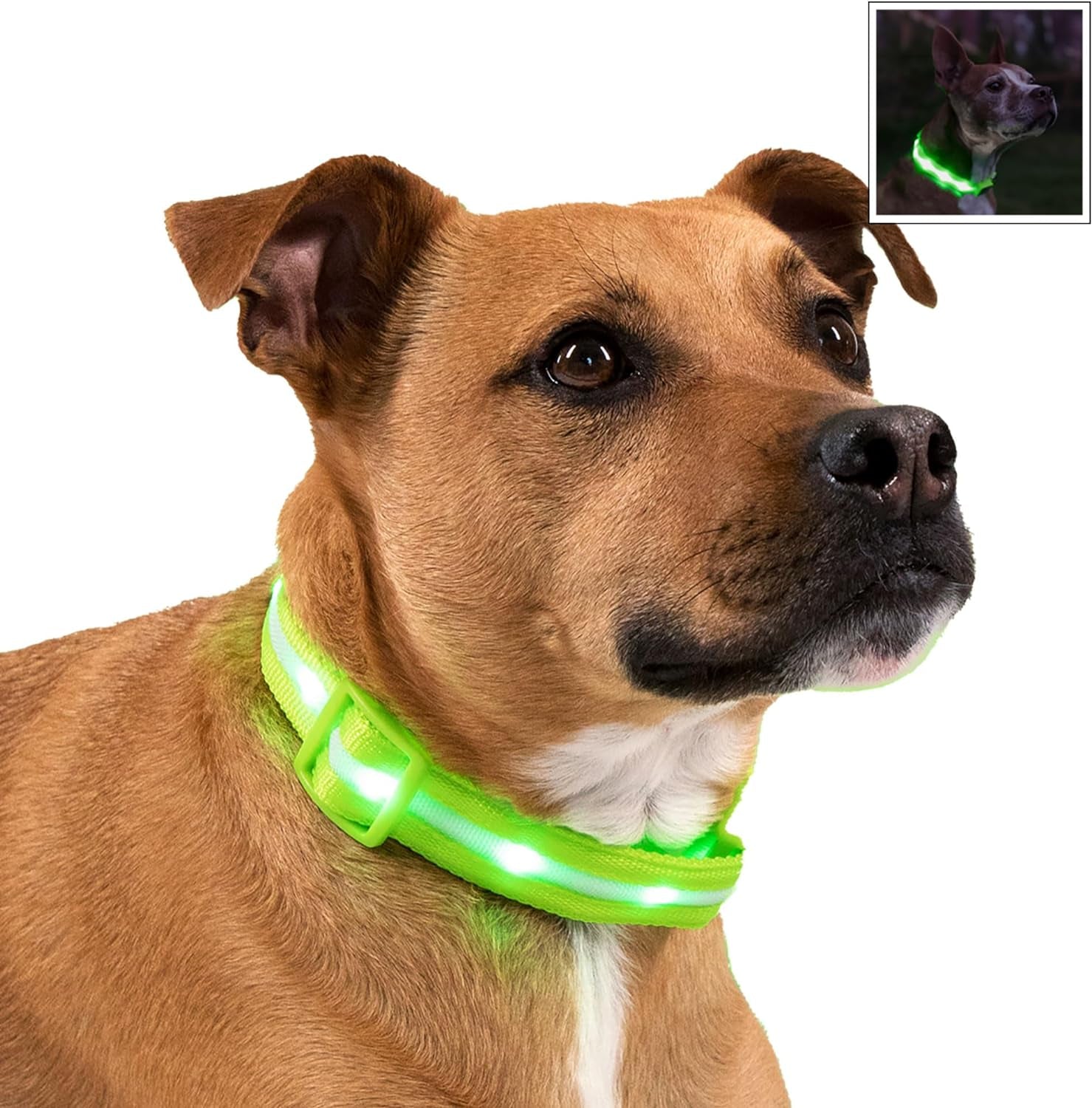 Light up Dog Collar - the Original LED Dog Collar - USB Rechargeable - Waterproof - 1,000 Feet of Visibility - Dog Collar Light for Small, Medium, Large Dogs - US Brand