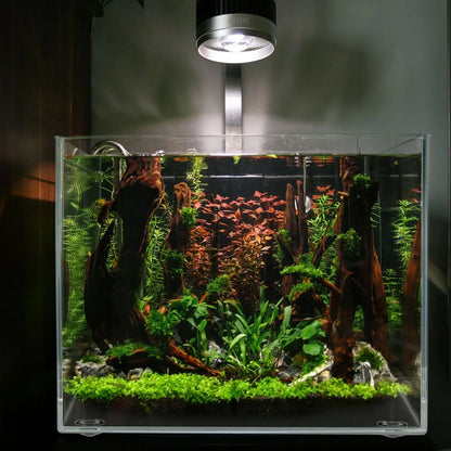 M Size Mini Aquarium Transparent Fish Tank Desktop Square Betta Bowl Fish Bowl Small Fish Tank Plastic Aquarium Pet Products