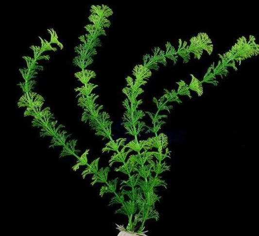 Fish Tank Simulation Plant Aquarium Artificial Decoration Plastic Aquarium Fish Bowl Water Weeds Plant Artificial Green Grass